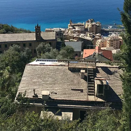 Liguria Holidays - Con Splendida Vista Sul Golfo