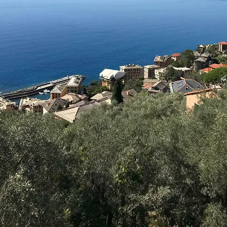 Liguria Holidays - Con Splendida Vista Sul Golfo